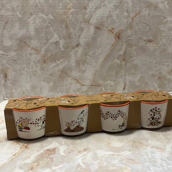 Rae Dunn | Kitchen | Peanuts Rae Dunn Fall Theme Ramekins | Poshmark